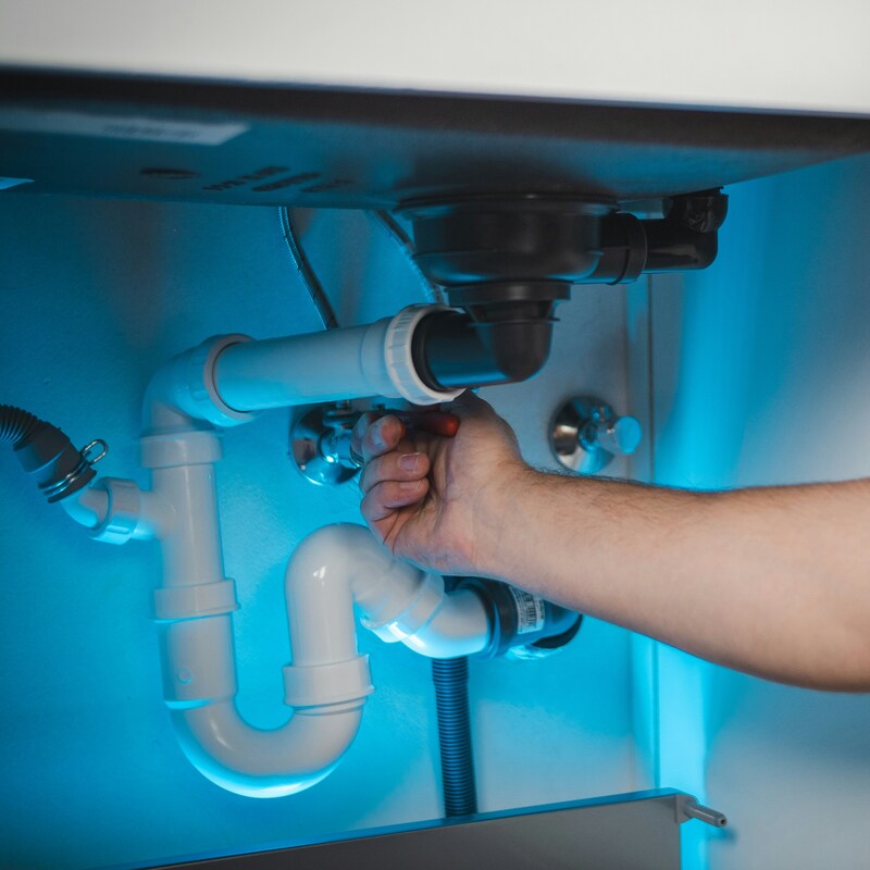 timur-shakerzianov-c314Gh8dXAo-unsplash (1) (1)